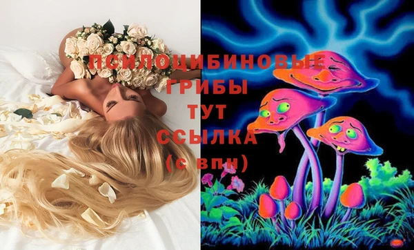 apvp Арсеньев