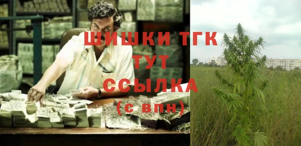 ГАЛЛЮЦИНОГЕННЫЕ ГРИБЫ Аркадак