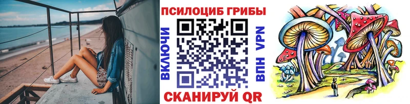 как найти закладки ссылка на мегу ссылки Галлюциногенные грибы Psilocybe Ужур